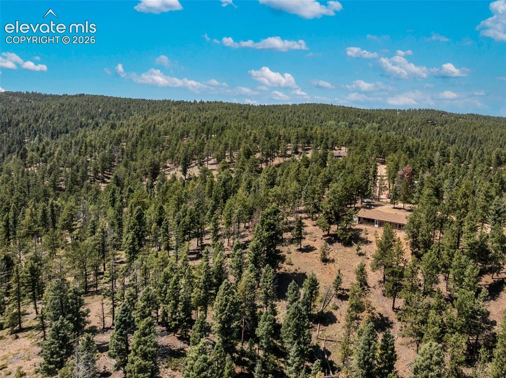 Image 37 of 46: Expansive forested hillside parcel featuring mature evergreen trees and a s