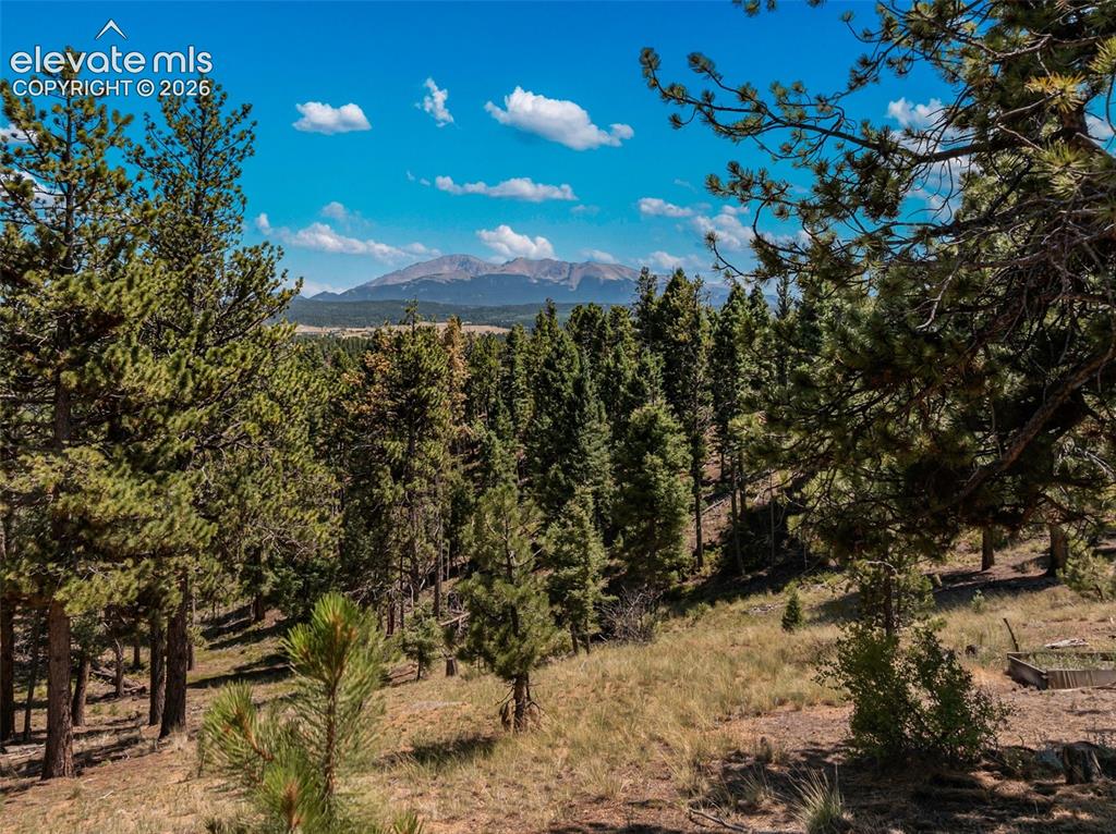 Image 40 of 46: Expansive treed landscape with distant mountain ranges and scattered clouds