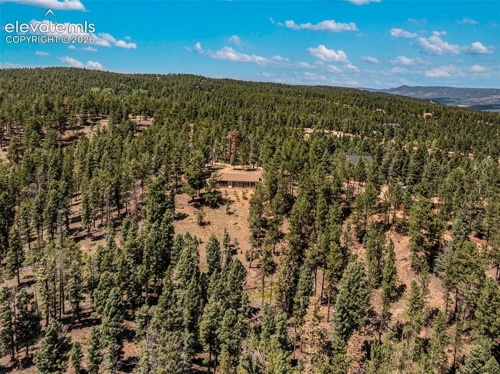Image 42 of 46: Expansive wooded terrain featuring a single-story dwelling nestled into the