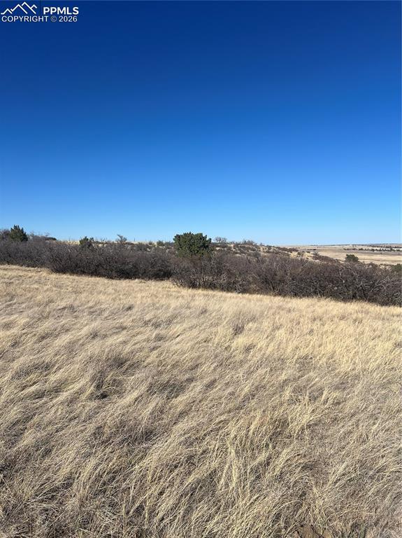 Image 10 of 16: Other