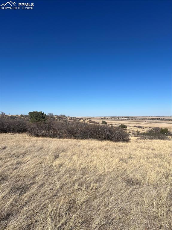 Image 11 of 16: Other