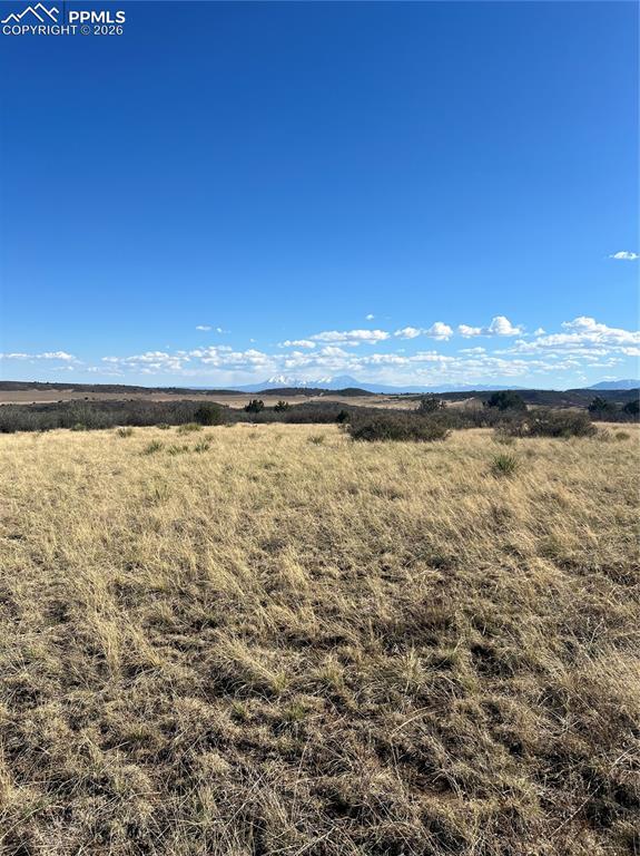Image 12 of 16: Other