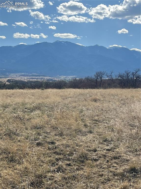 Image 4 of 16: View