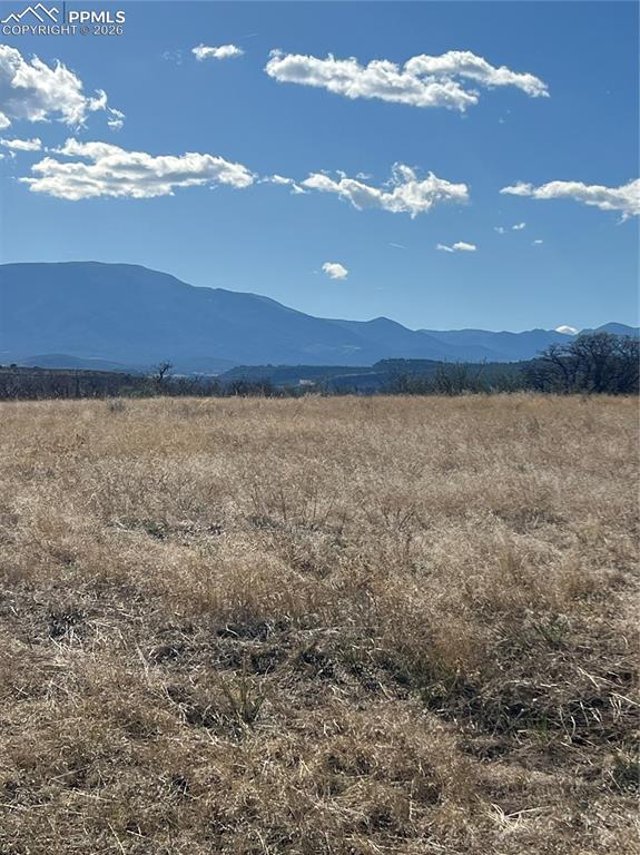 Image 5 of 16: View