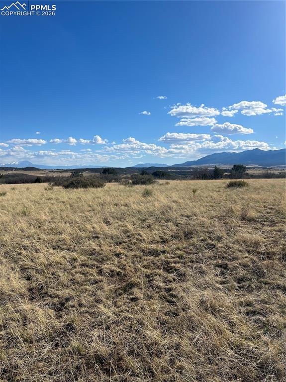 Image 6 of 16: View