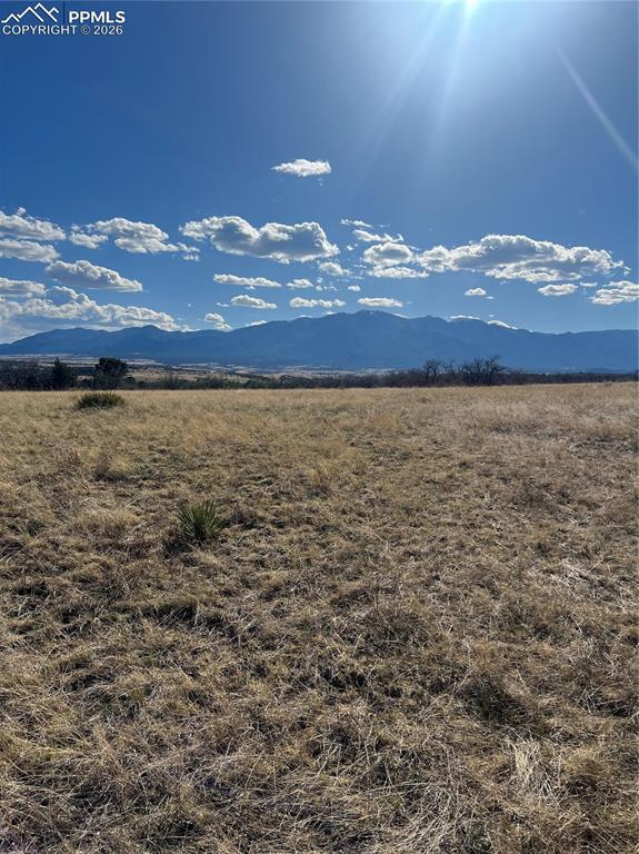 Image 7 of 16: View