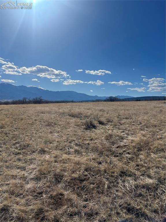 Image 8 of 16: View