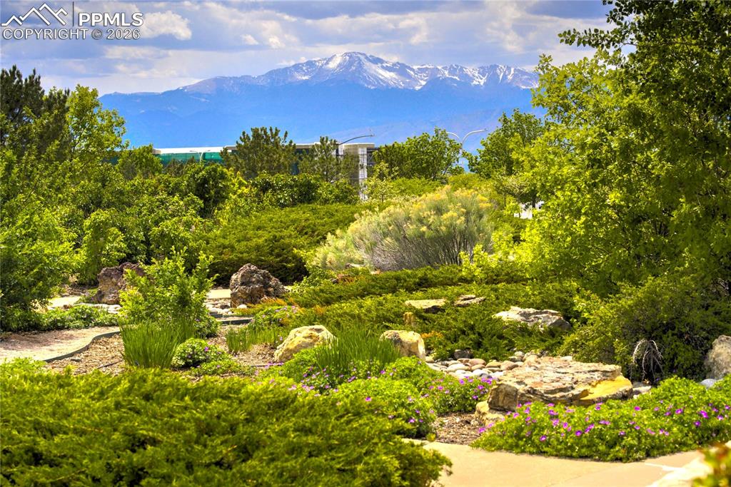 Image 50 of 50: Community