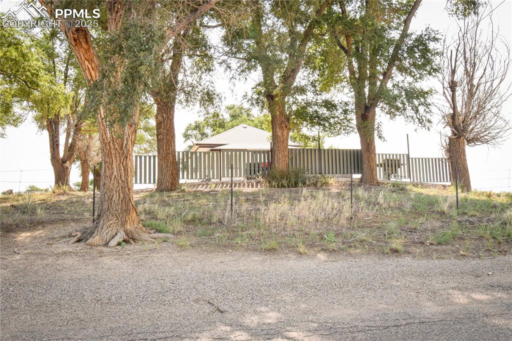 Image 7 of 16: Yard