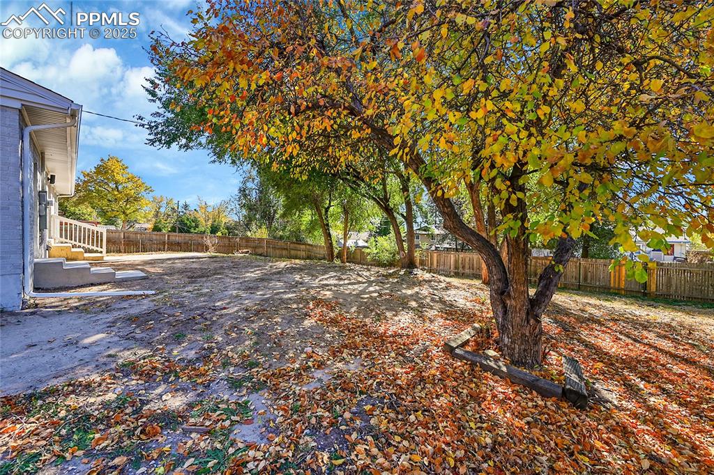 Image 34 of 46: Yard