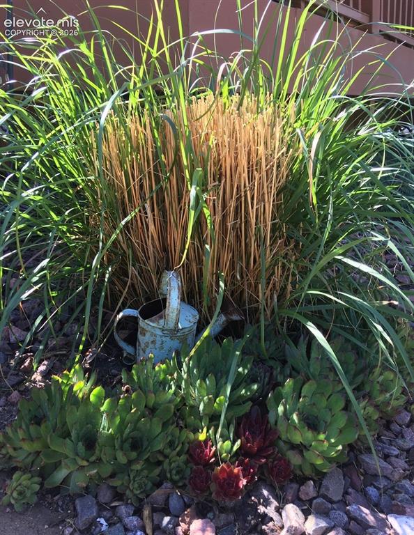 Image 44 of 45: Other