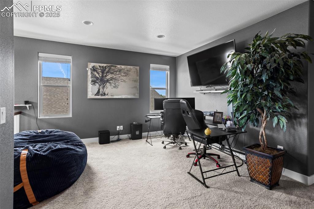 Image 30 of 45: Carpeted sitting room with healthy amount of natural light and baseboards