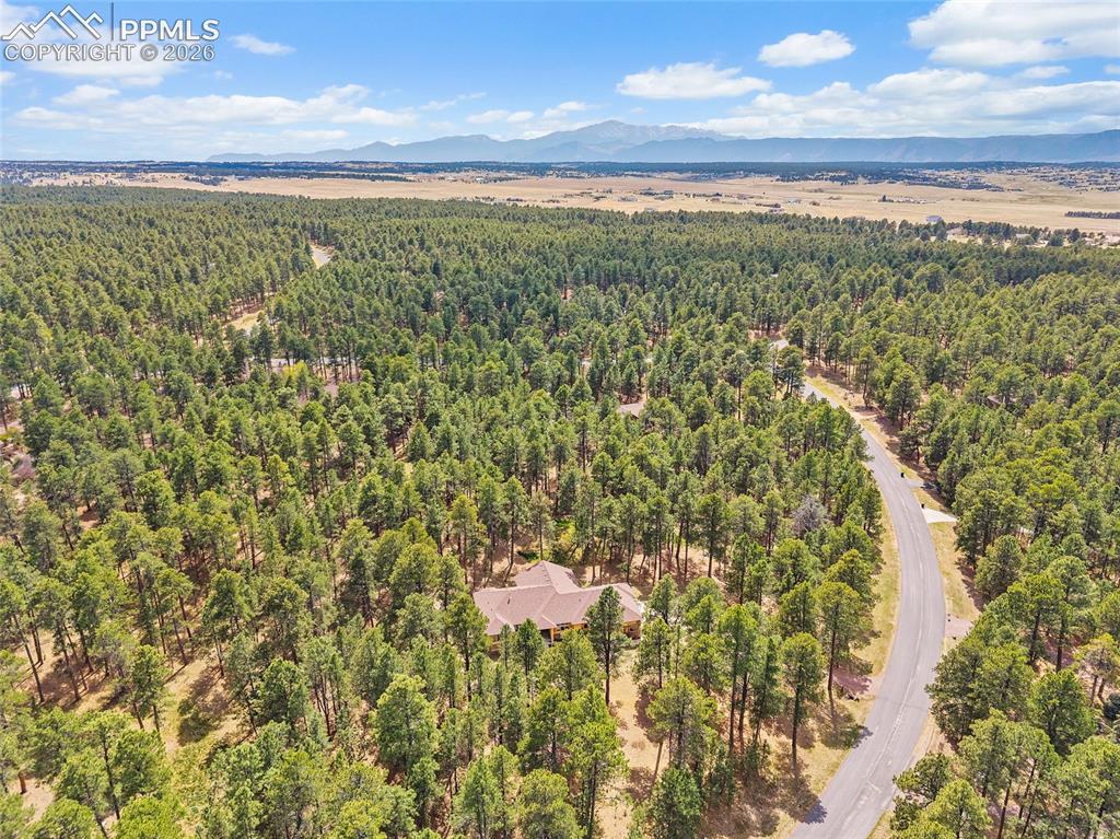 Image 50 of 50: Aerial View