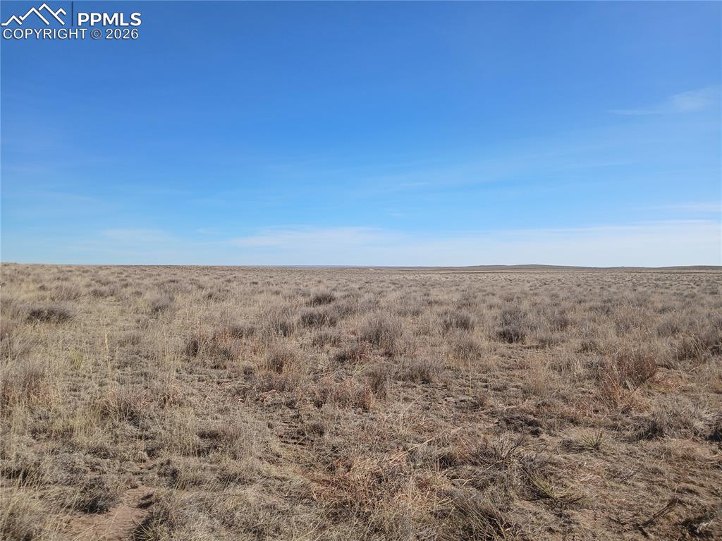 Image 32 of 36: Other