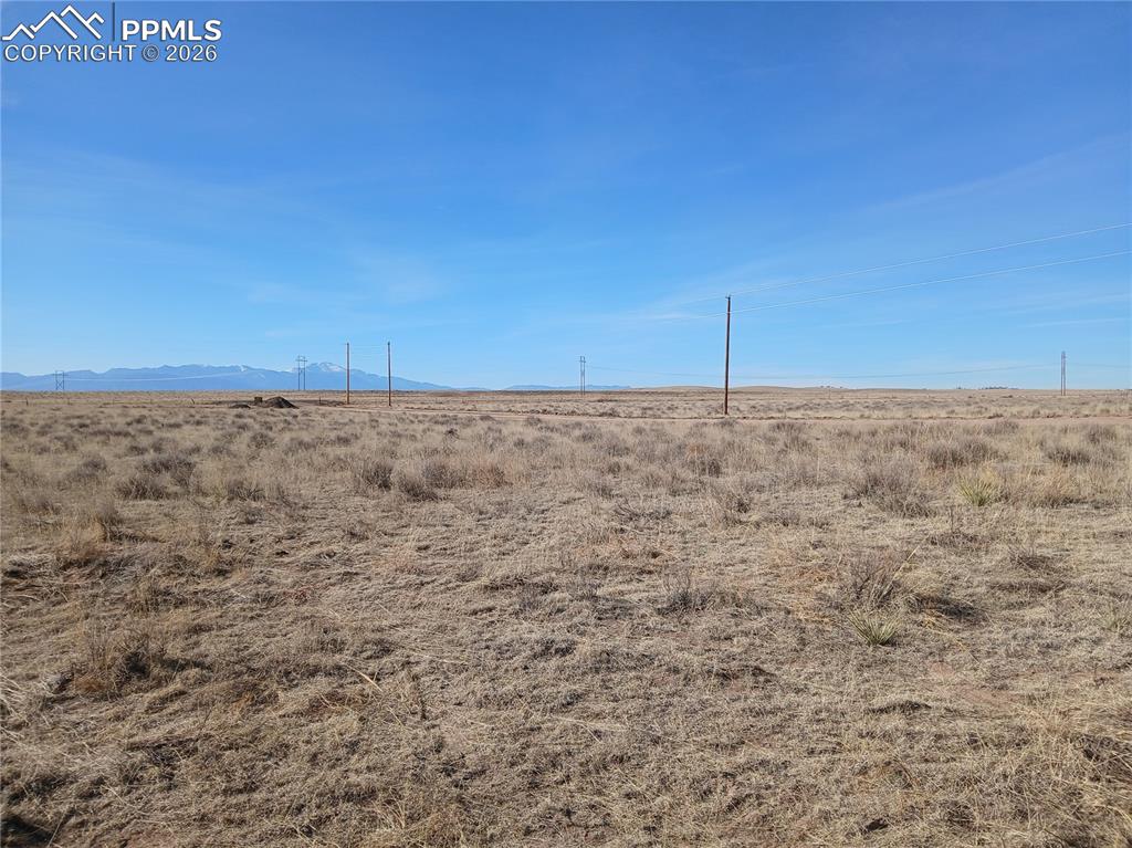 Image 36 of 36: Yard