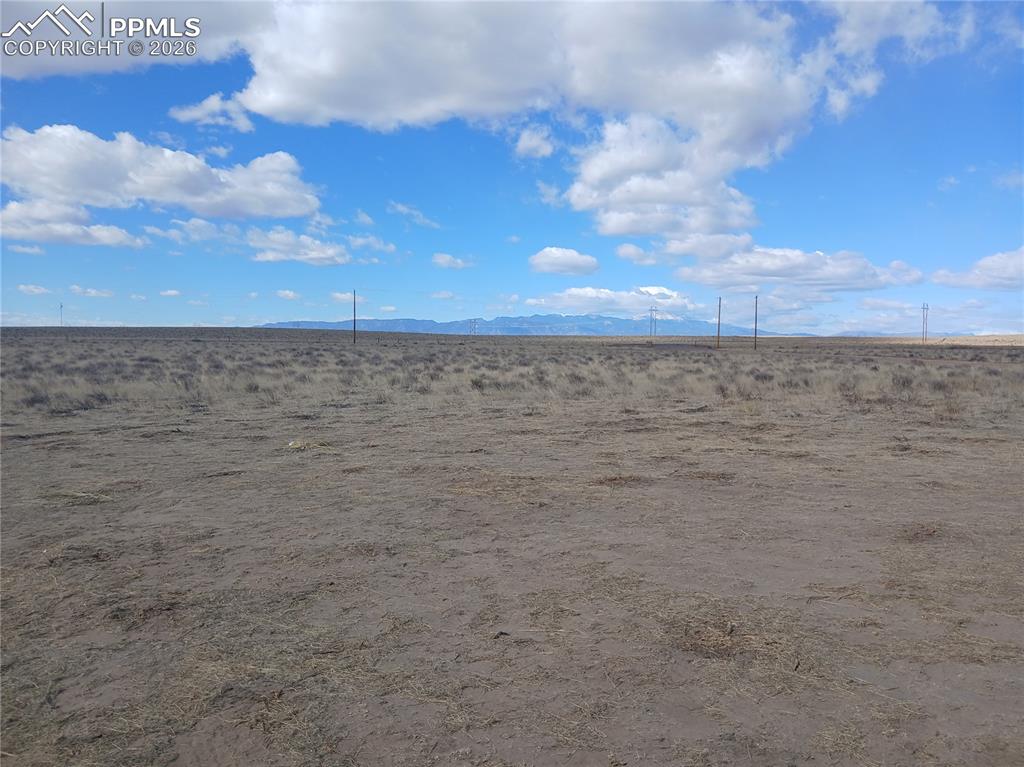 Image 39 of 42: Other