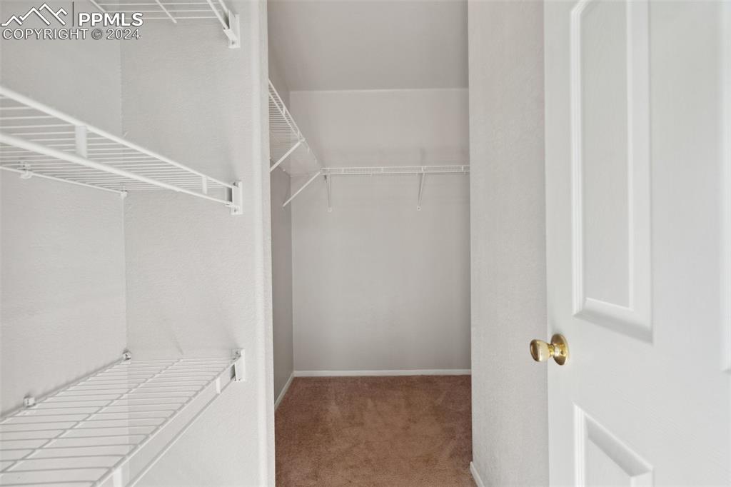 Image 29 of 32: Walk in closet featuring carpet floors