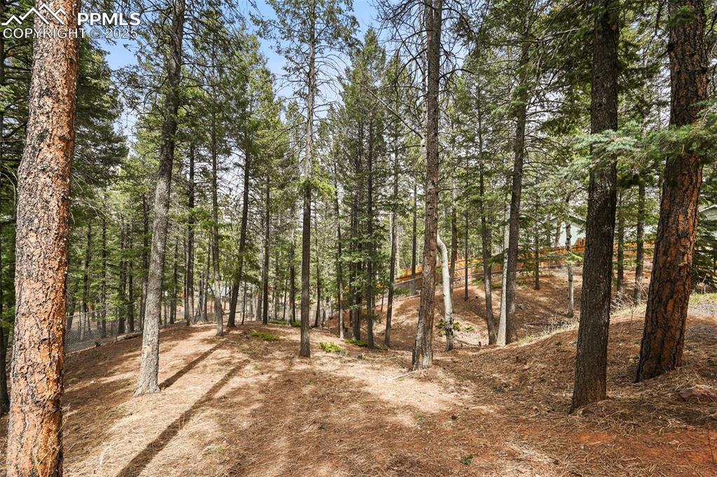 Image 41 of 43: Back yard