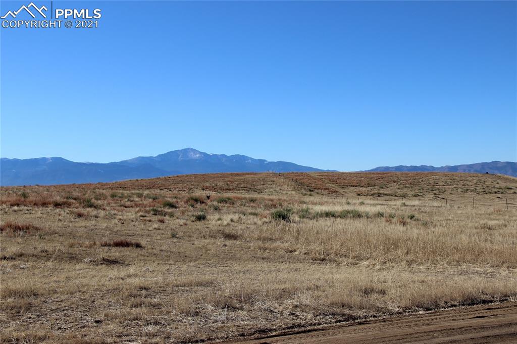 Image 8 of 14: No Description Available