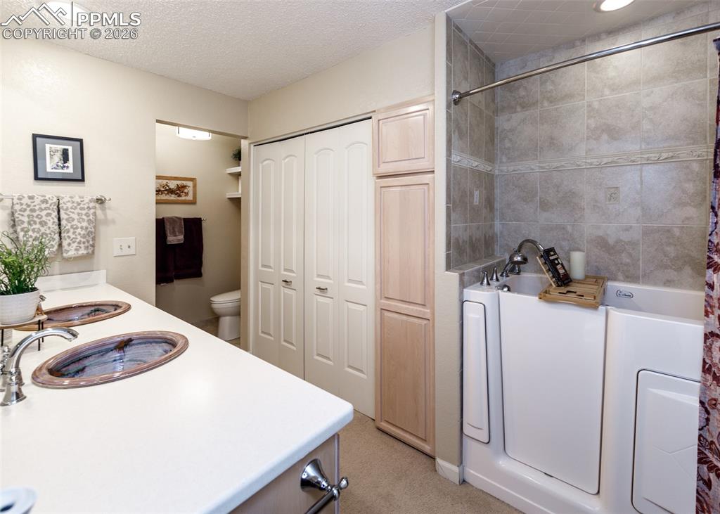 Image 19 of 45: Handicap accessible bathtub