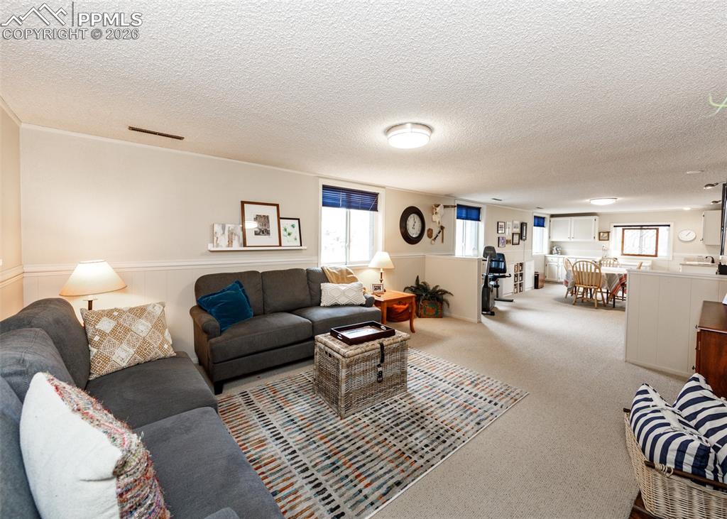 Image 25 of 45: Spacious basement rec room, and wet with a fireplace
