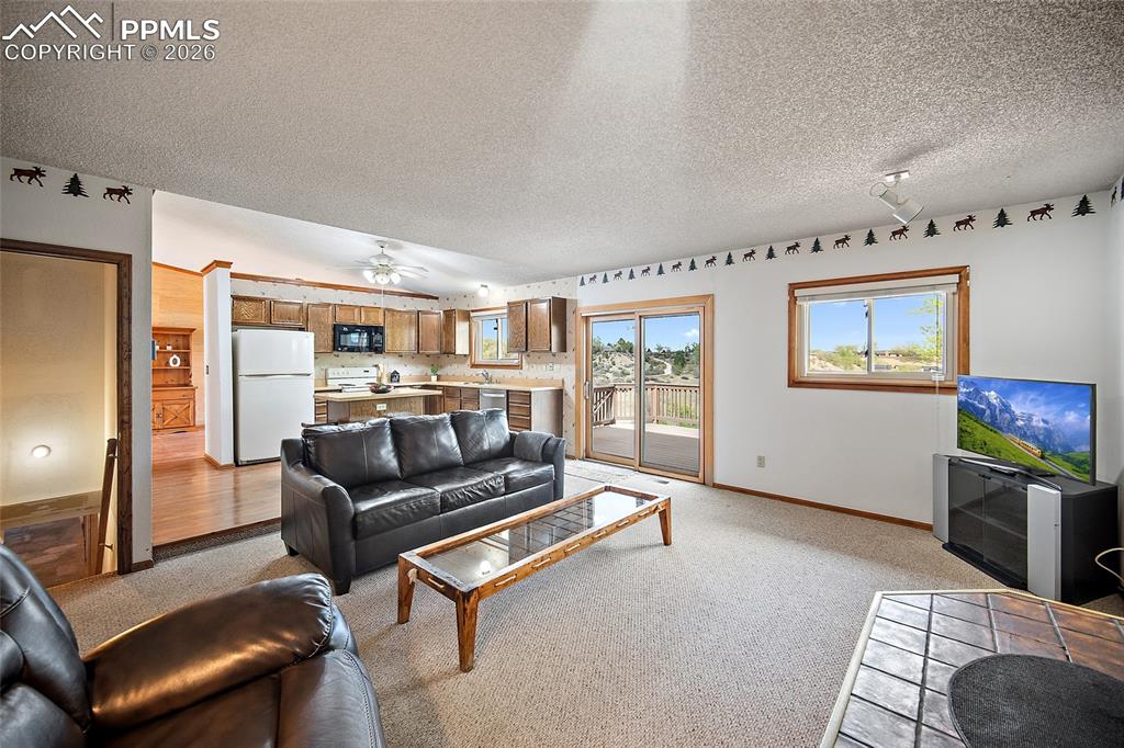 Image 11 of 40: Living room featuring light colored carpet, a textured ceiling, and a ceili