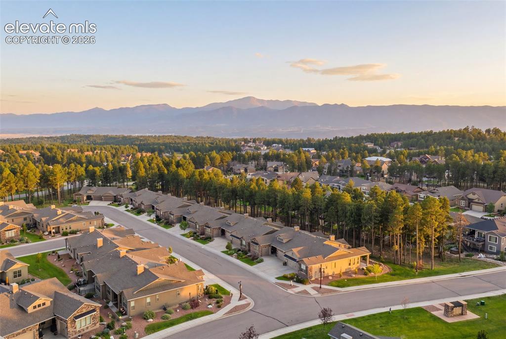 Image 42 of 43: Aerial showcasing a residential community with abundant mature trees and mo