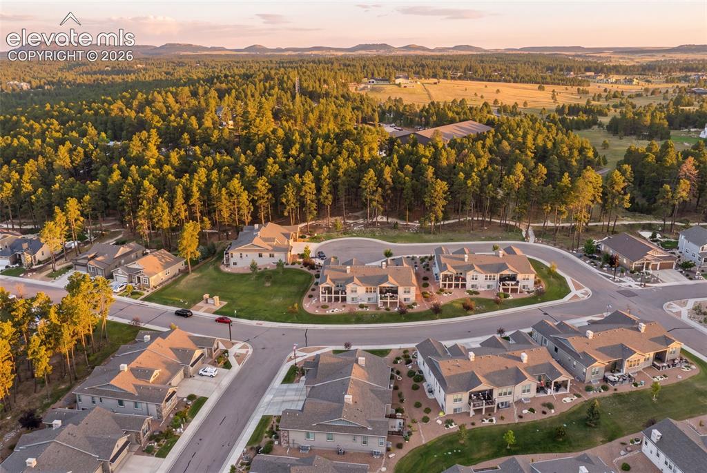 Image 43 of 43: Residential development featuring modern homes, paved streets, and abundant