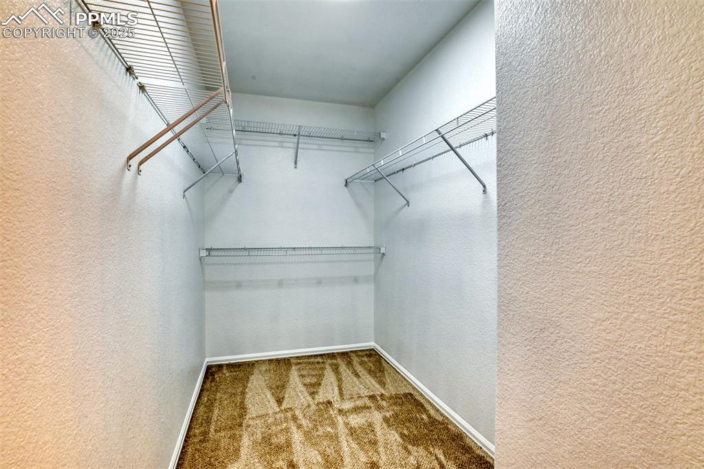 Image 24 of 45: Walk in closet featuring light carpet