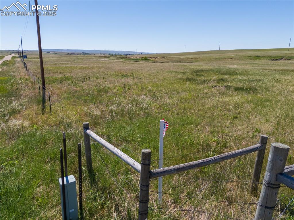 Image 2 of 13: Summertime green!