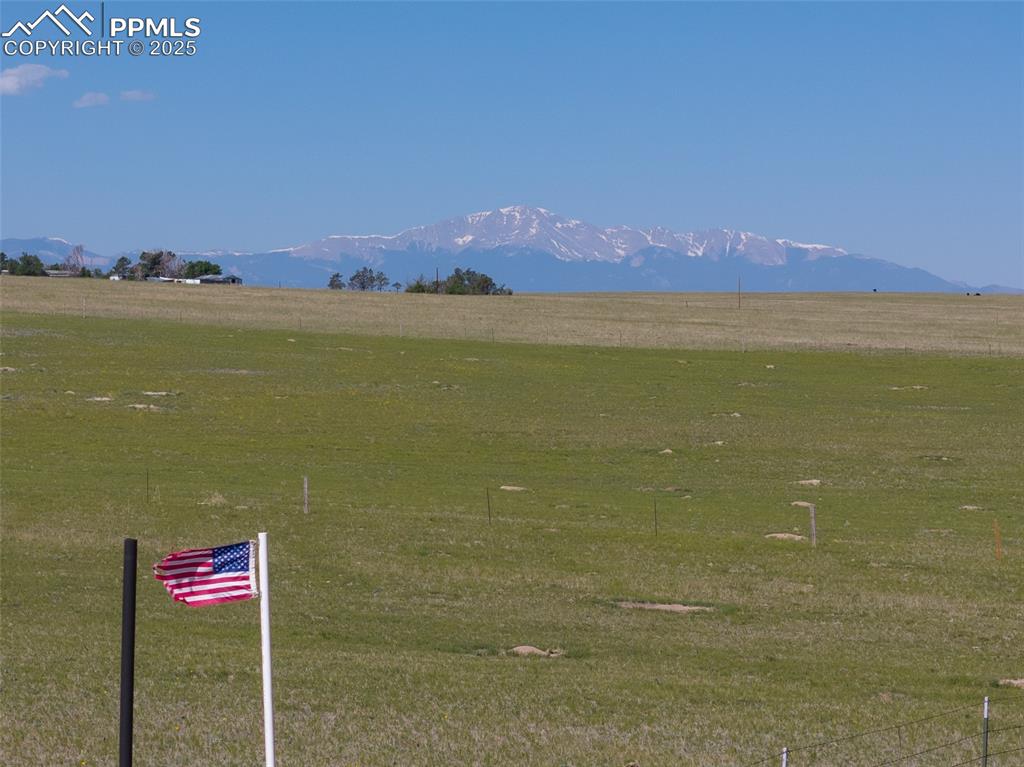 Image 3 of 13: Summertime grass.