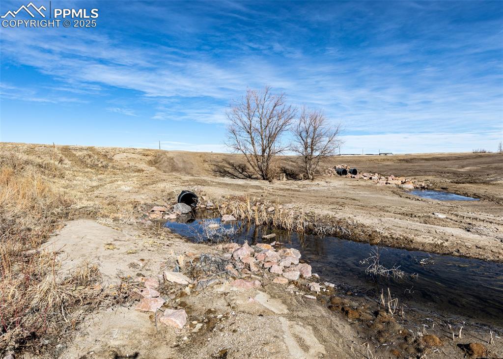 Image 8 of 13: Both culverts and trees