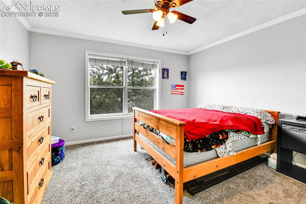 Image 16 of 30: Bedroom with carpet floors