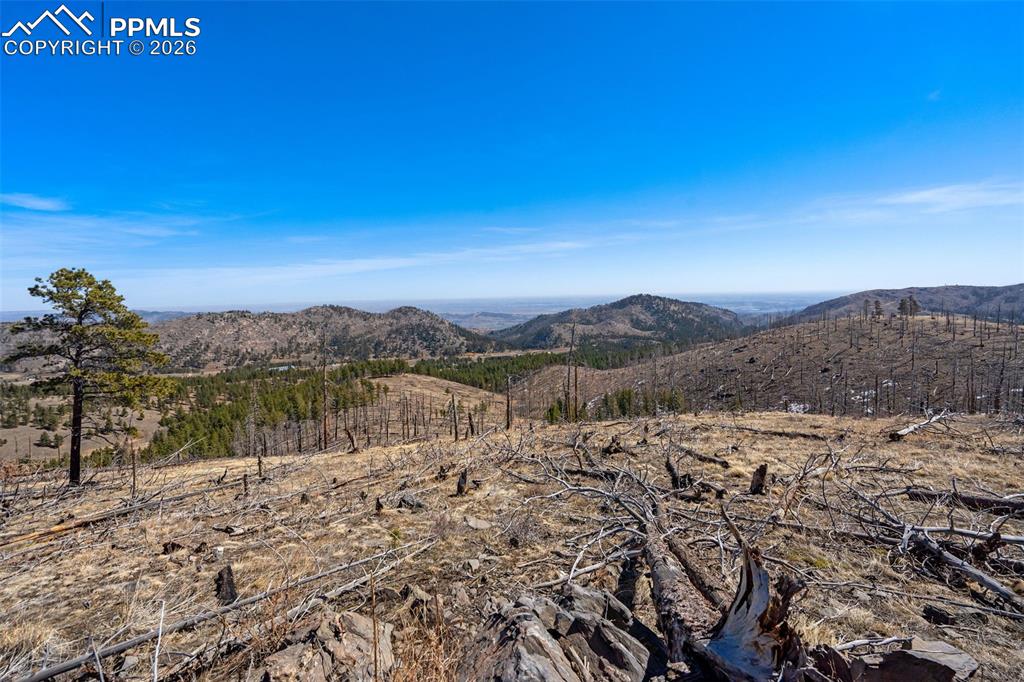 Image 6 of 12: View