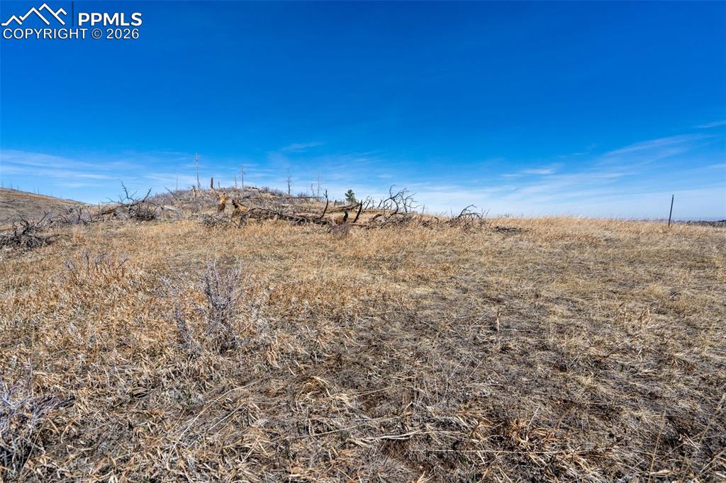 Image 8 of 12: Other