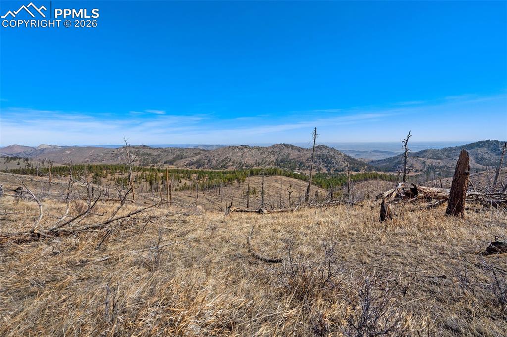 Image 9 of 12: View