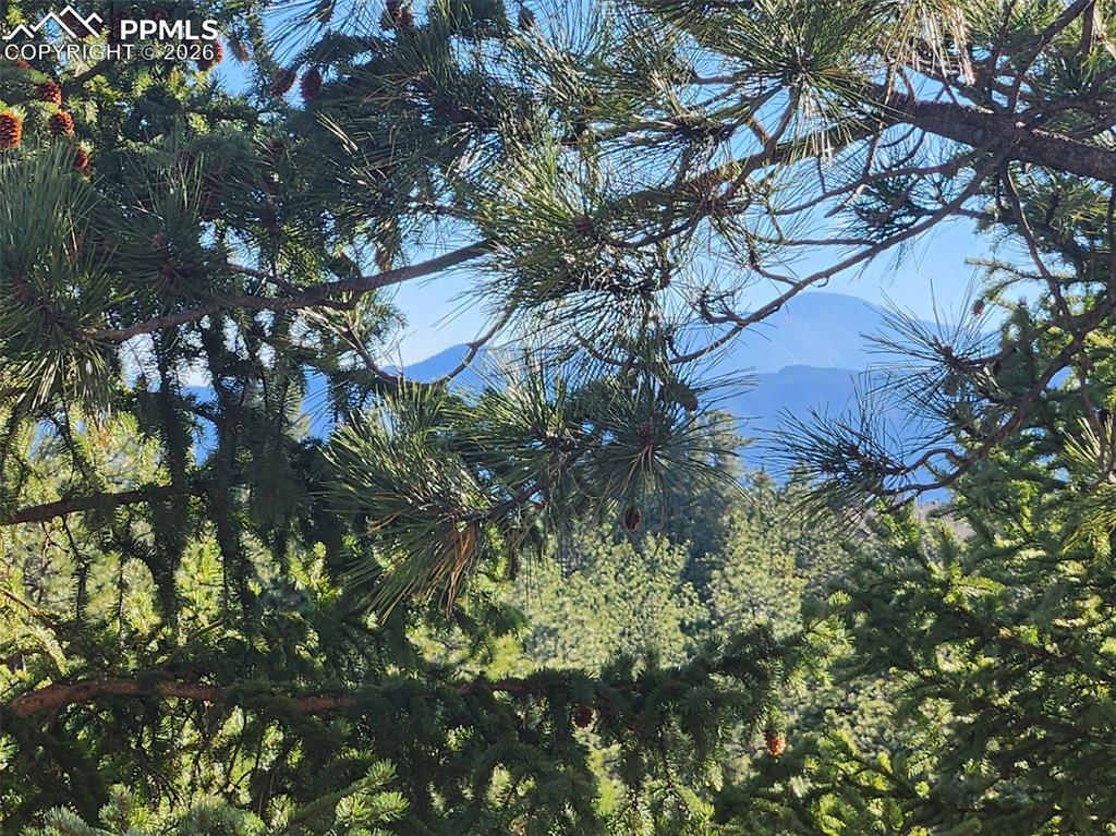 Image 39 of 41: View