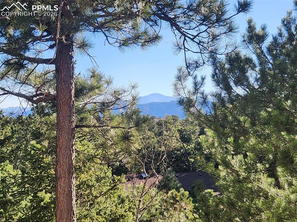 Image 40 of 41: View