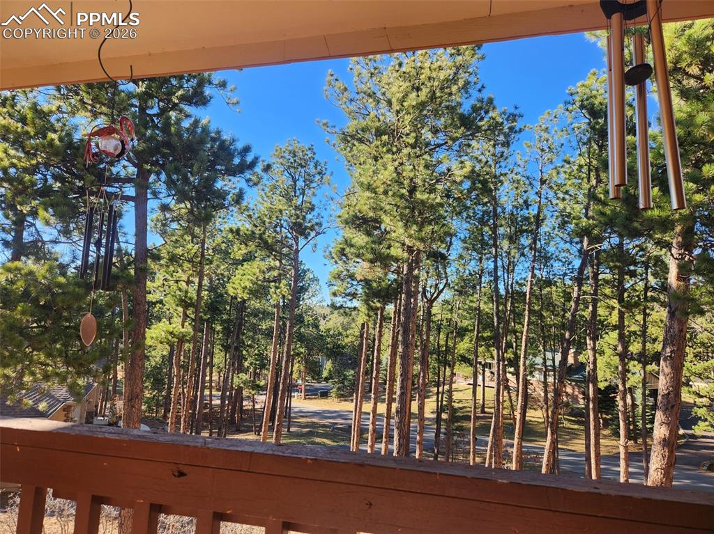 Image 41 of 41: View