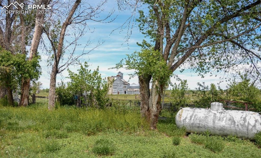 Image 12 of 13: View of yard