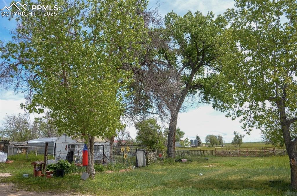 Image 13 of 13: View of yard