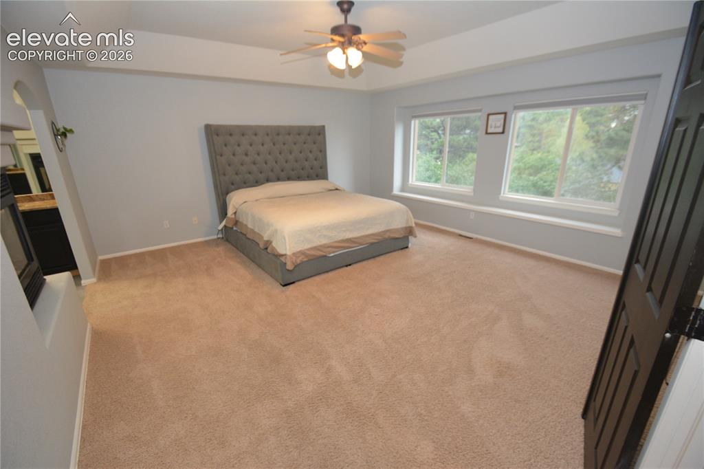 Image 25 of 48: Huge Primary Bedroom, great natural light, 3 sided fireplace.