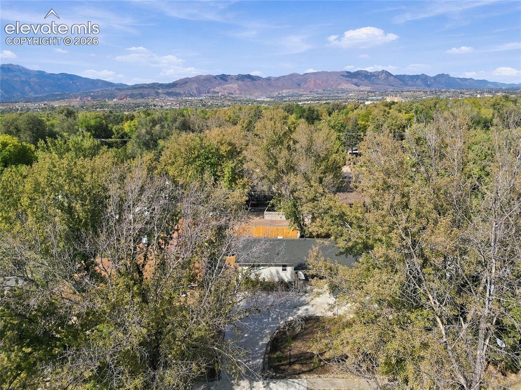 Image 43 of 49: Mountain backdrop and extensive tree coverage surrounding the property