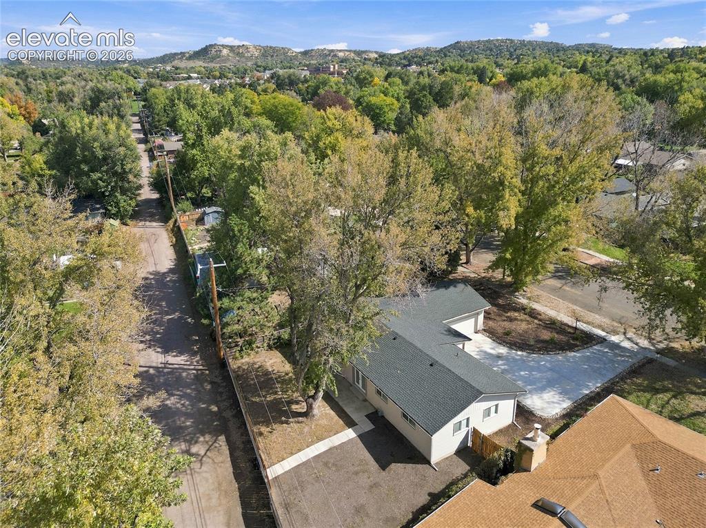 Image 47 of 49: Spacious lot with mature trees and a paved driveway