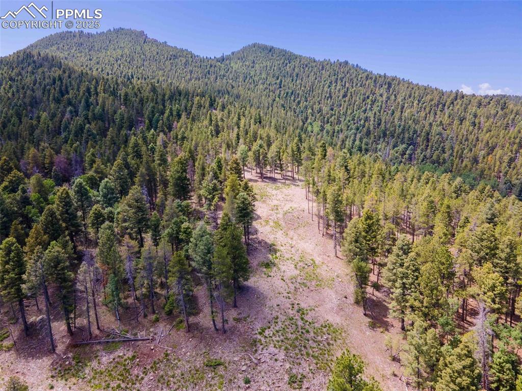 Image 11 of 19: Building envelope