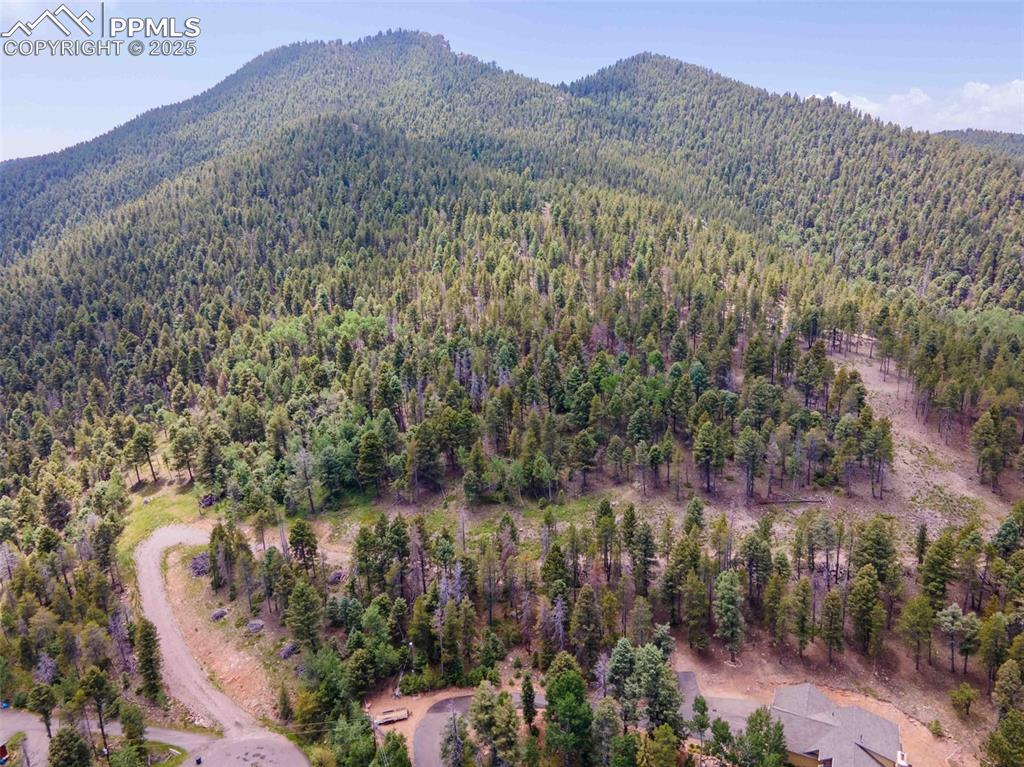 Image 12 of 19: Driveway and cleared building envelopes