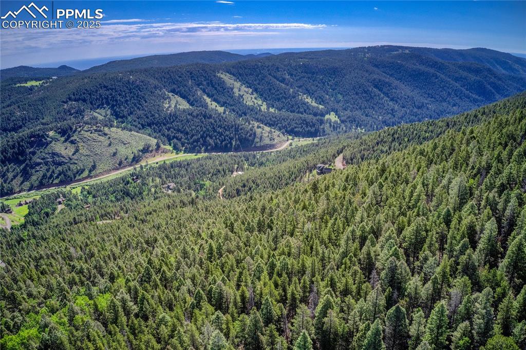 Image 16 of 19: Mountain view featuring a forest