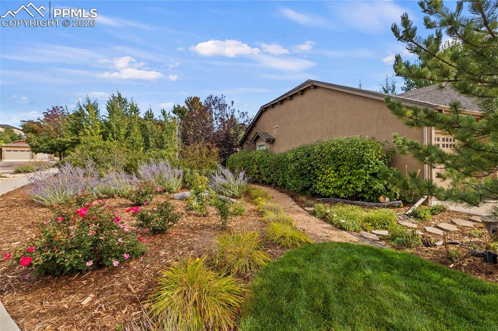 Image 30 of 41: Yard