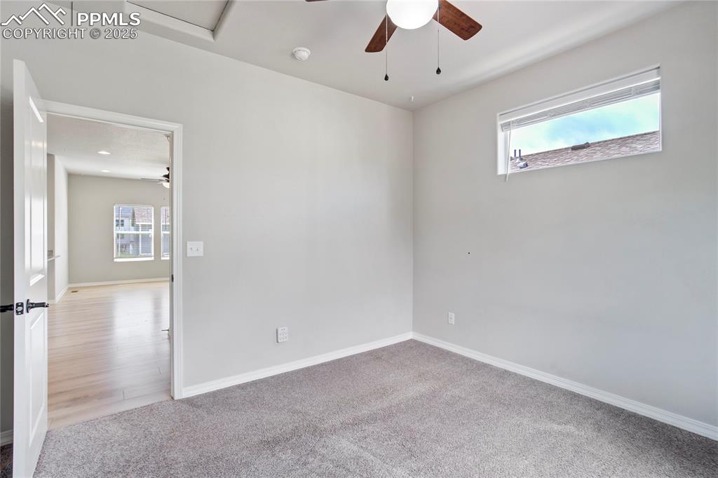 Image 14 of 36: Other