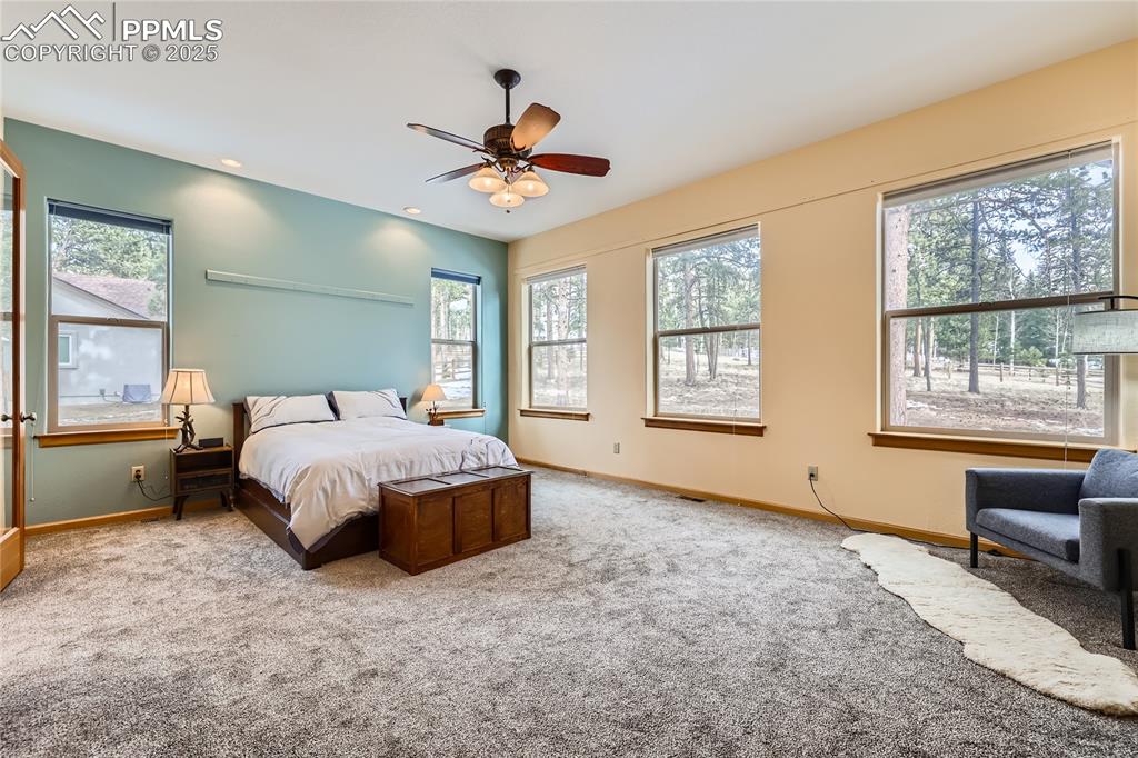 Image 17 of 50: Carpeted bedroom featuring recessed lighting, multiple windows, and baseboa